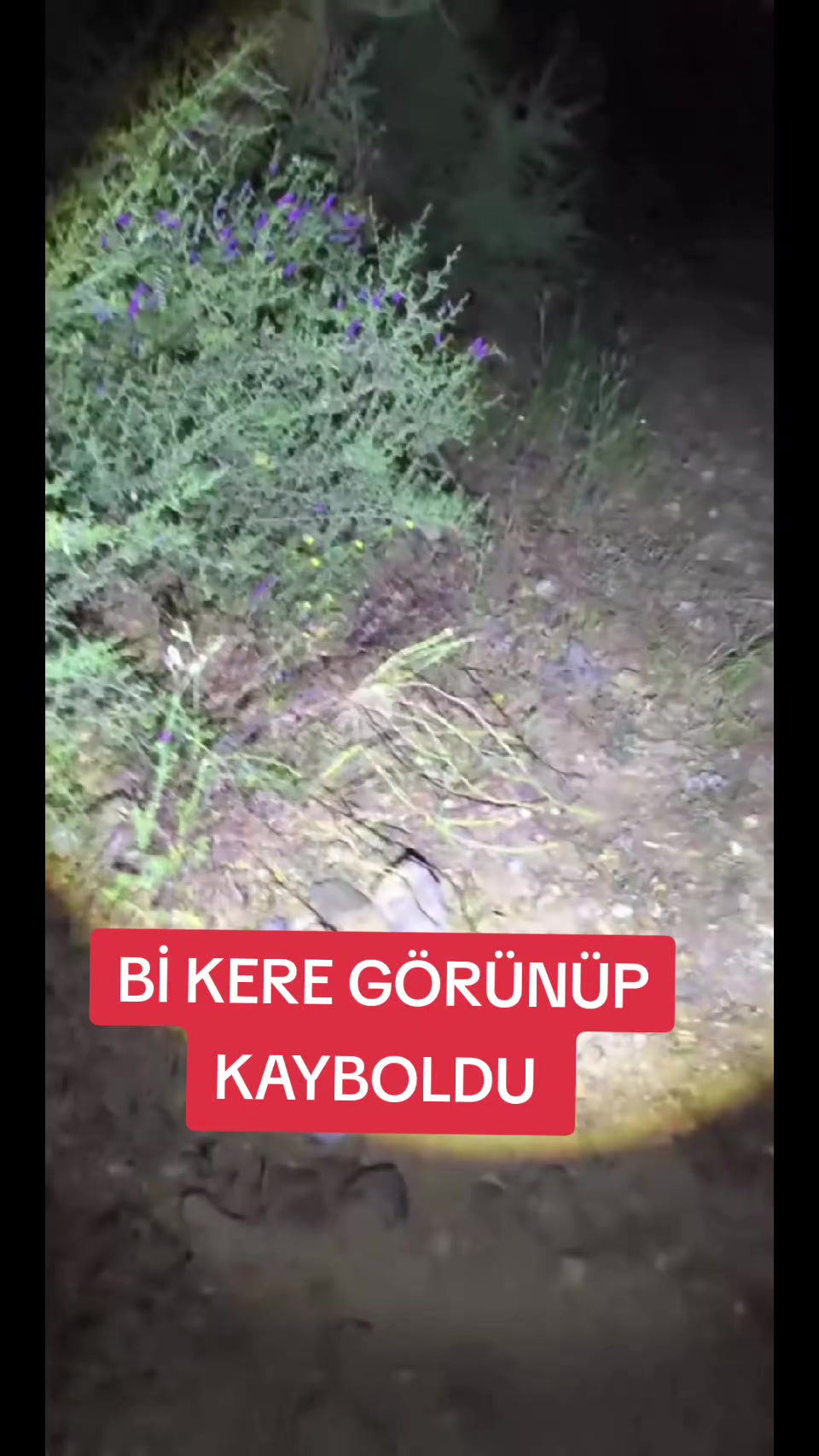 @PARANORMAL SİNAN