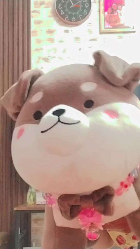 @dreamy, dreia, & chibi the dog