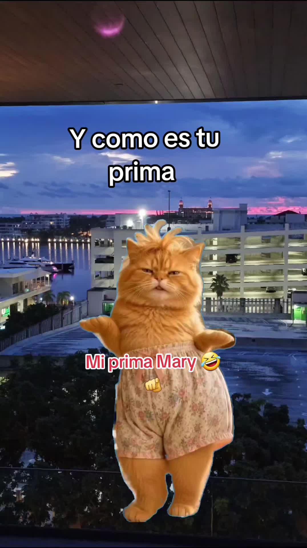 @Gabrielito 502