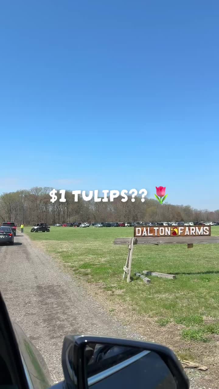 @Tea 🍵