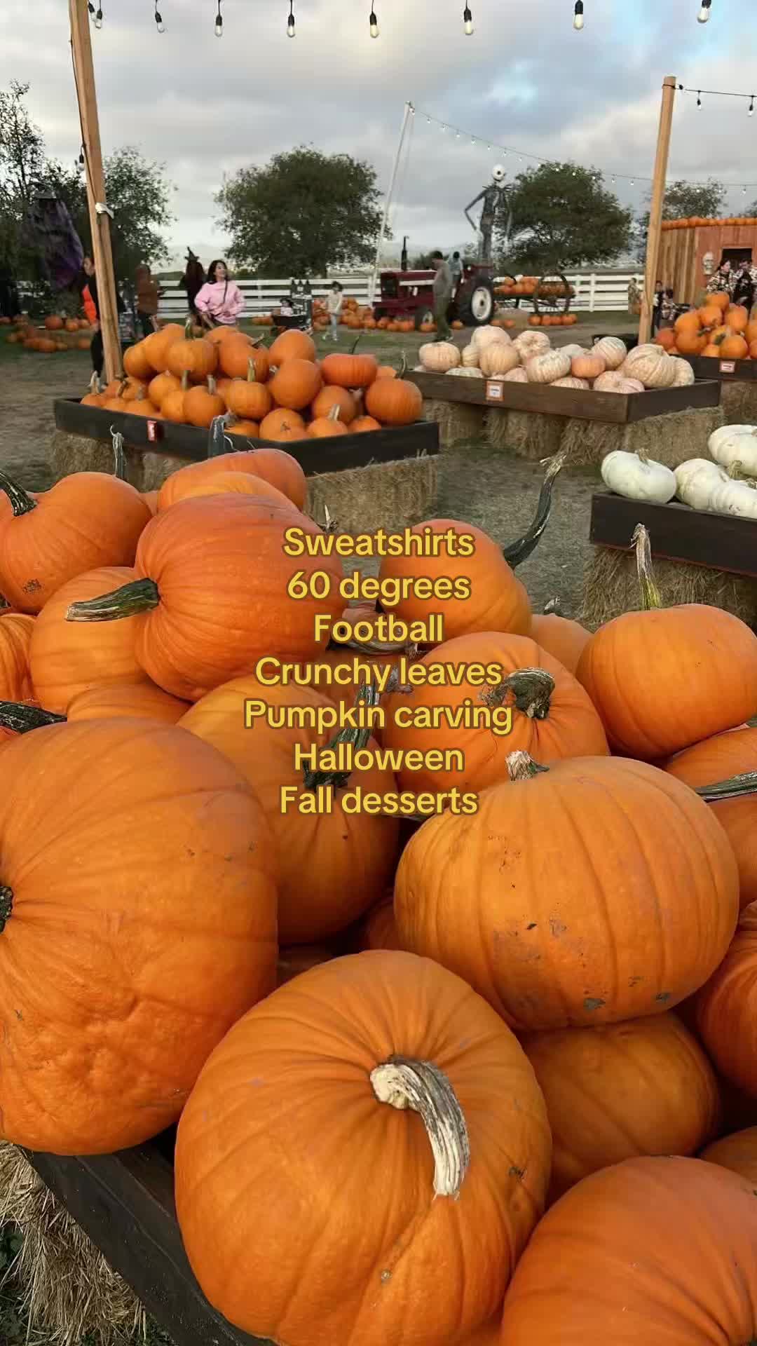 @spookyseasonftw