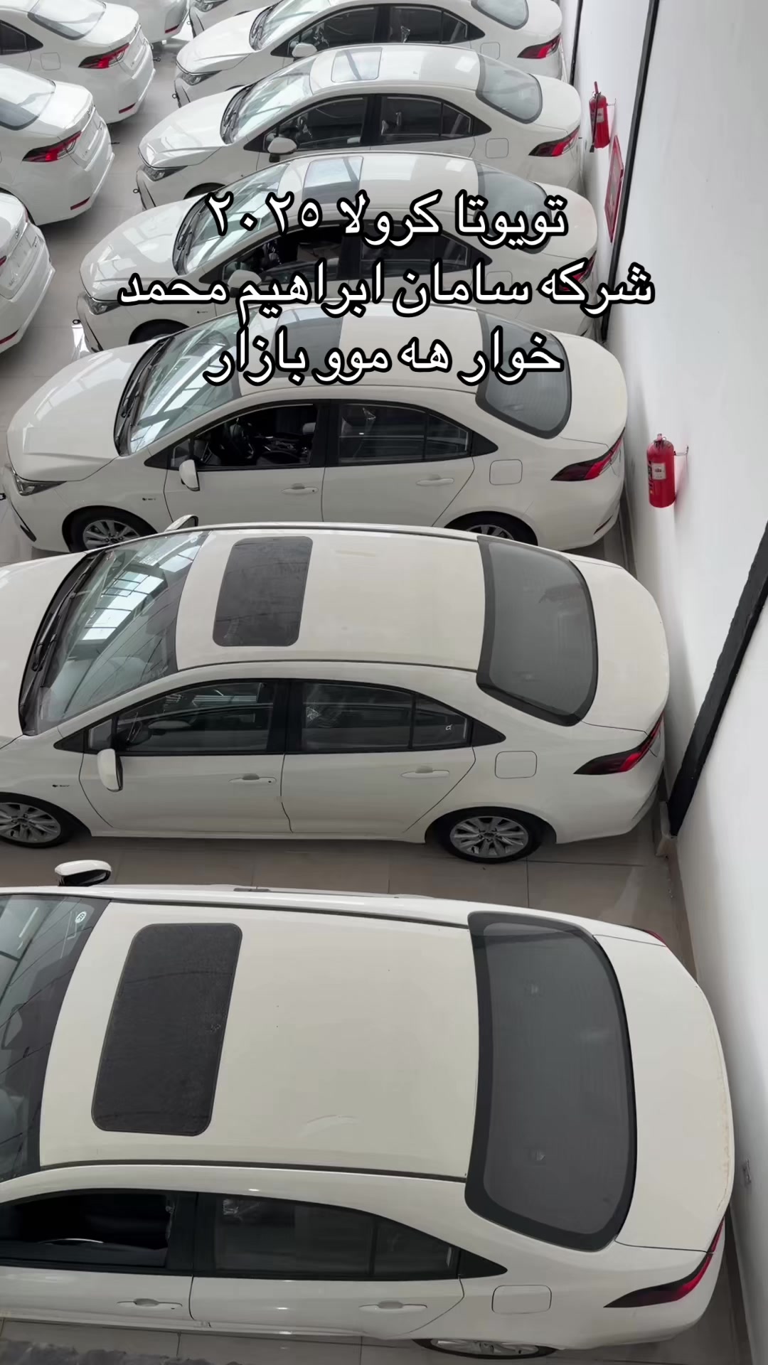 @شرکە سامان ابراهیم محمد