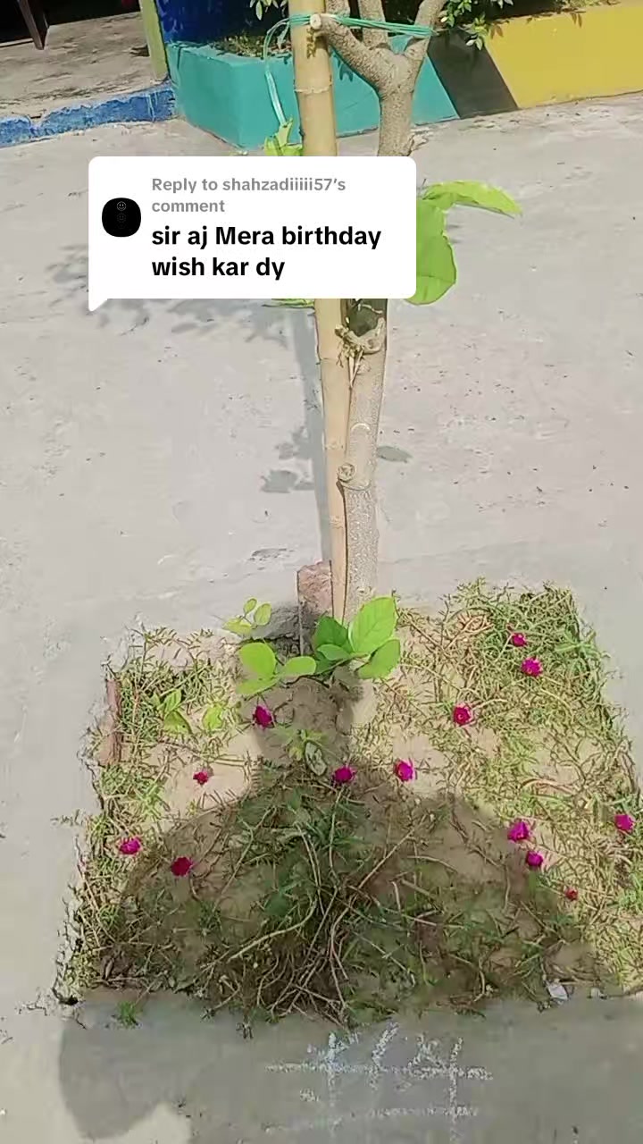 @Murtaza Sadiq