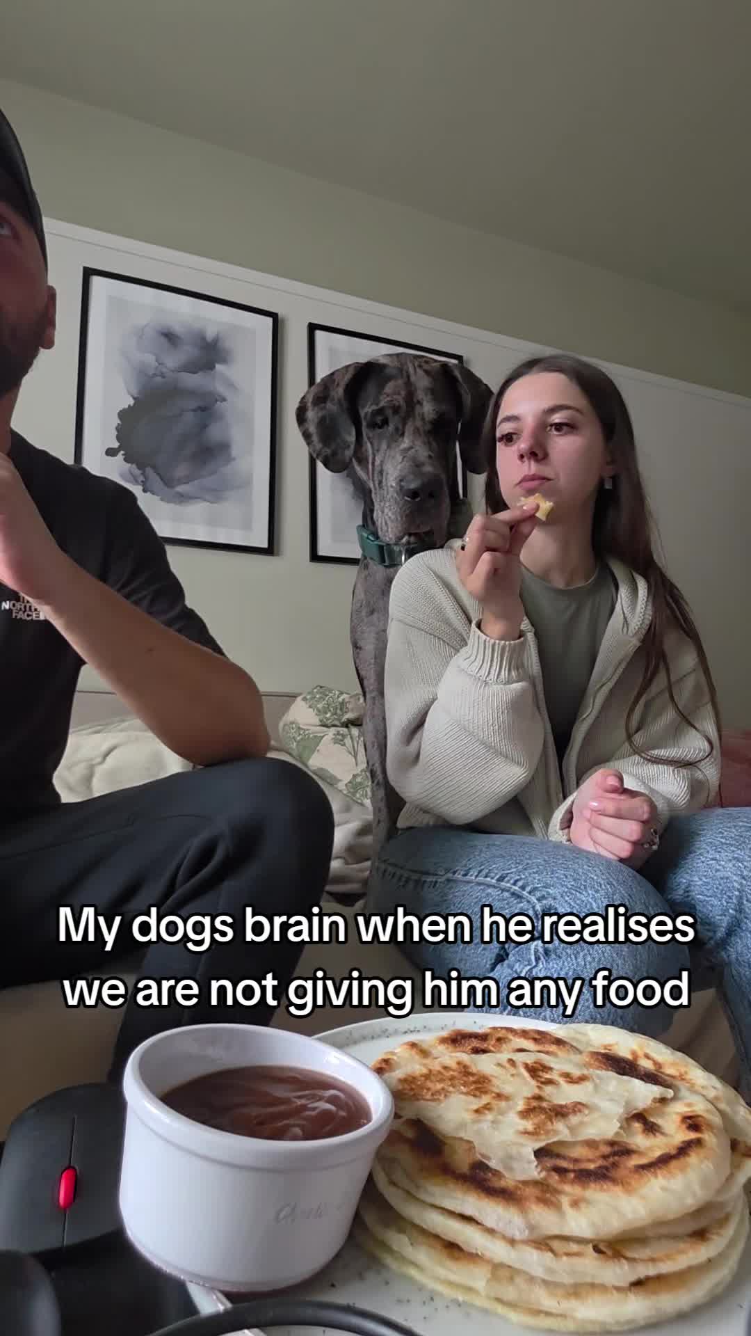 @Magnus the GREAT DANE