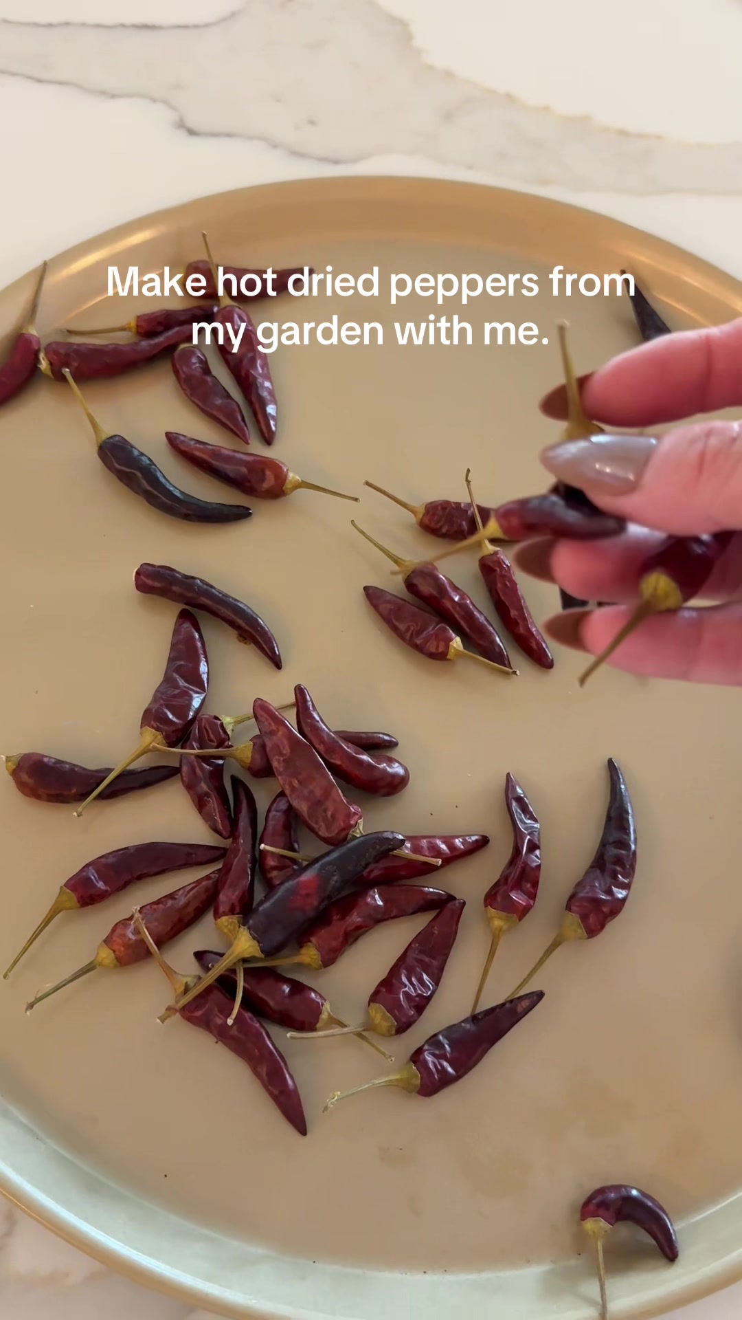 @gigi