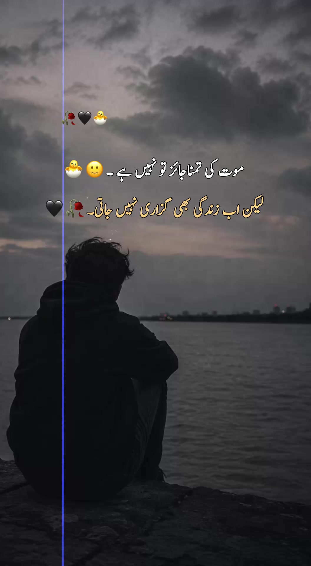 @Silᴇnt Scᴀʀs