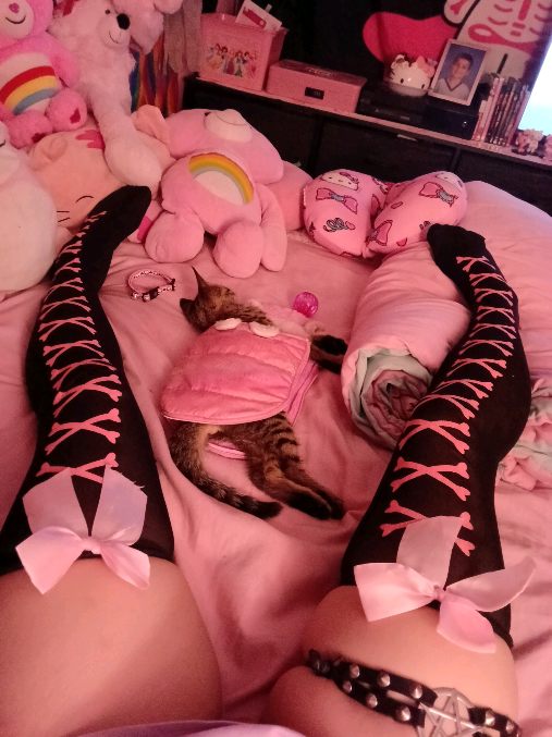 @꒰ა 𝔄𝔫𝔤𝔢𝔩 𝔅𝔲𝔫𝔫𝔶 ໒꒱