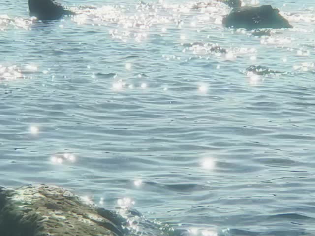 @𝘿𝙄𝙂𝙄𝙏𝘼𝙇𝙄𝙎