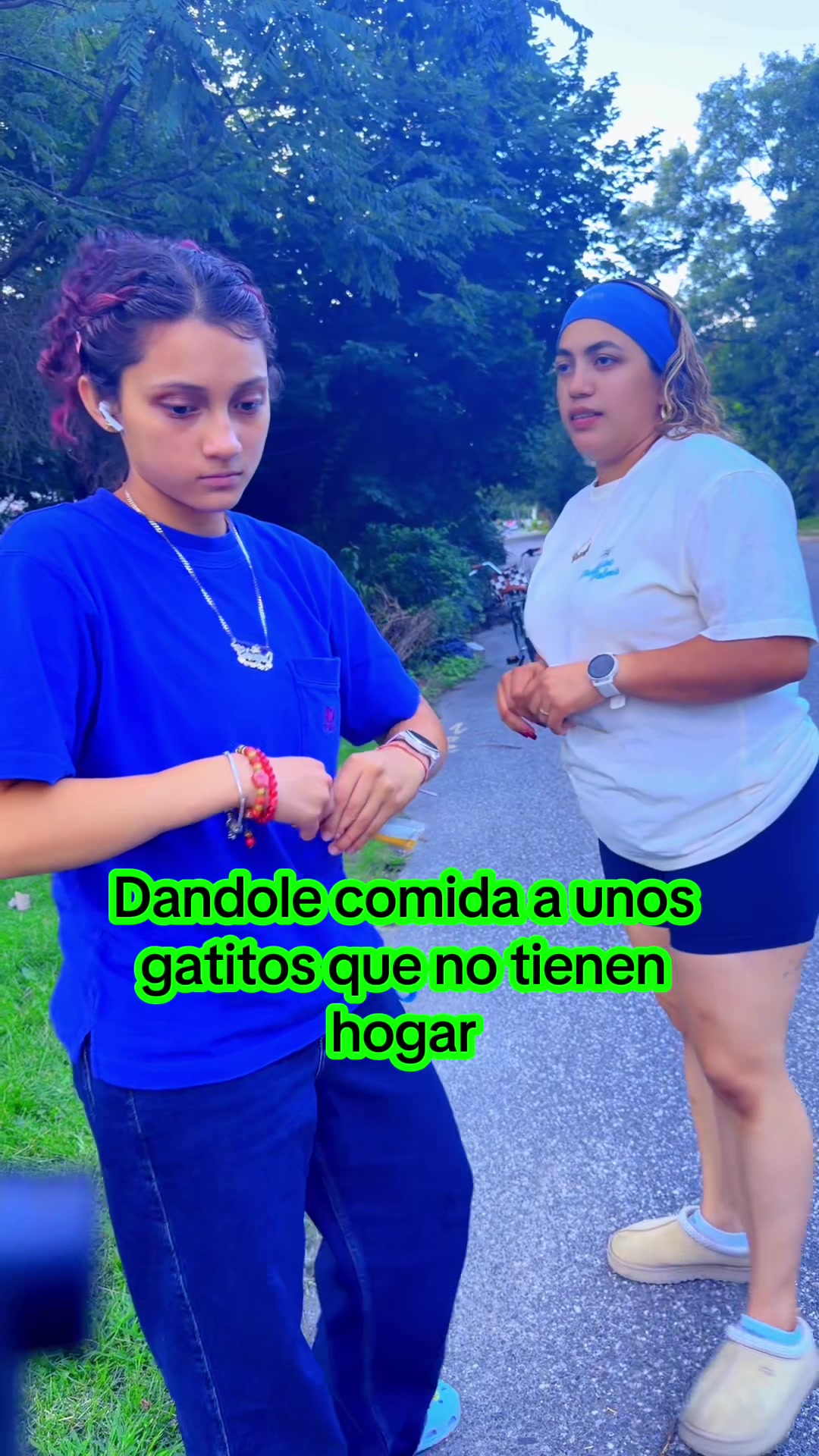 @Mr,Alex,TEAM