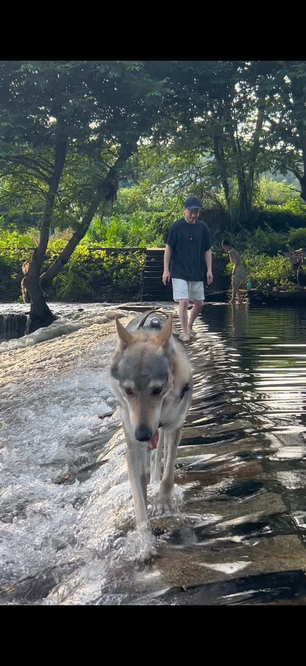 @Life With Echo 🐺