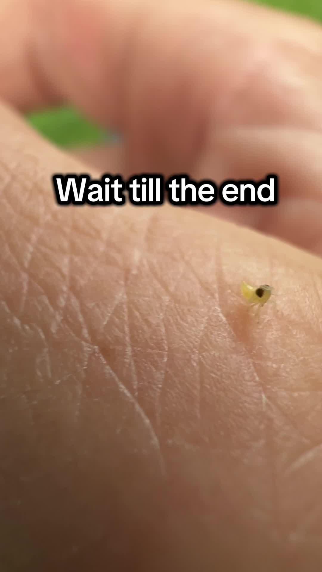 @WhatAWorld