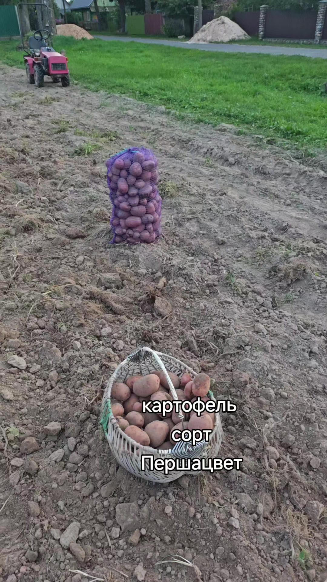 @Картофель Могилёв
