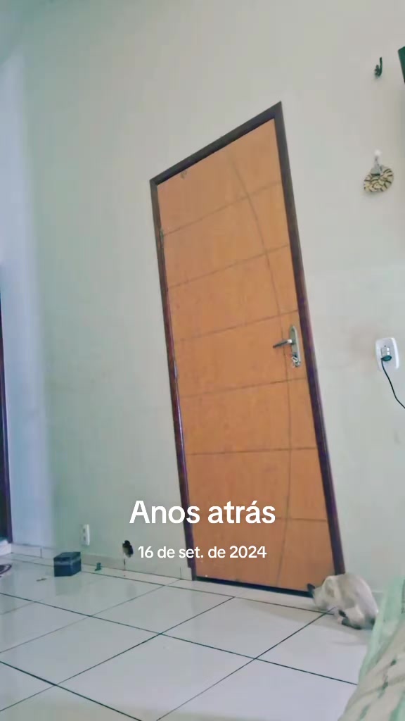@Alessandra Viana