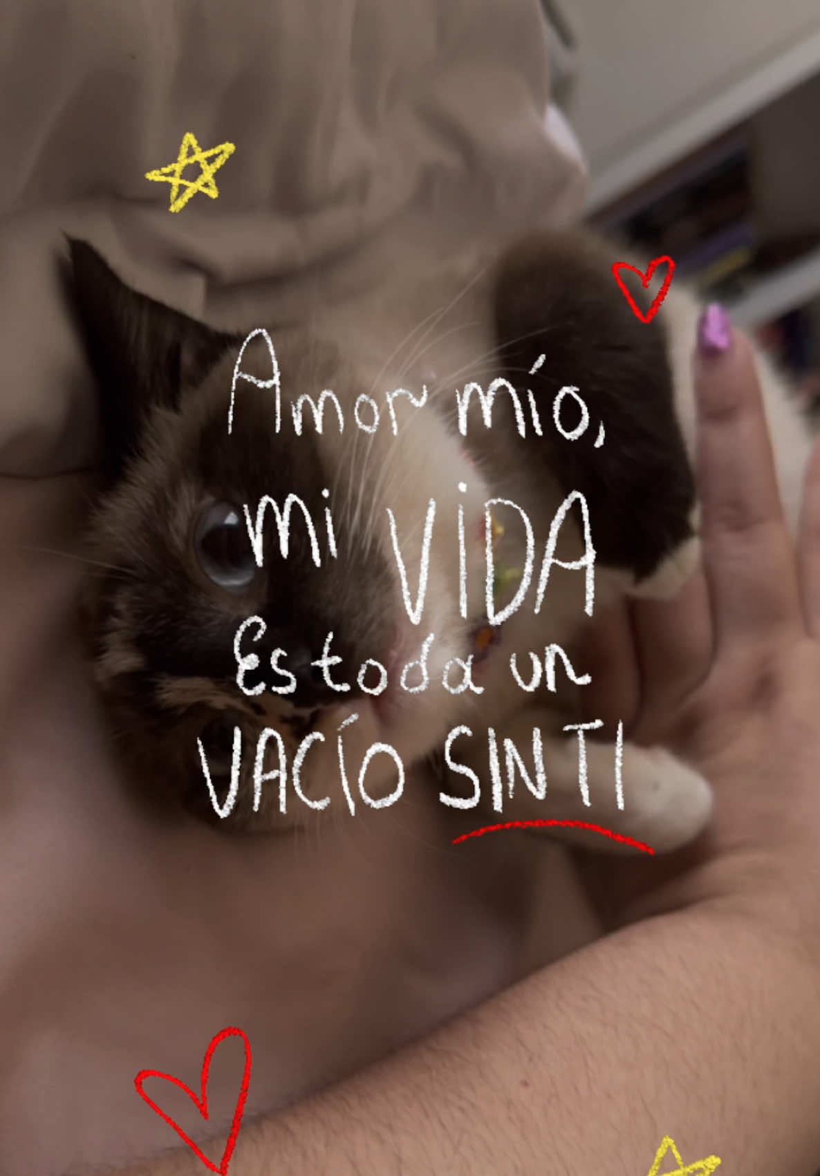 @Guimary 💫