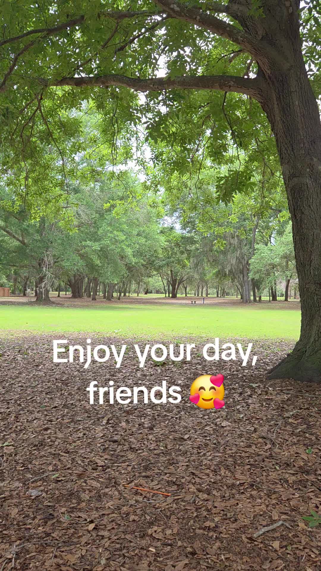 @FurMomLizz