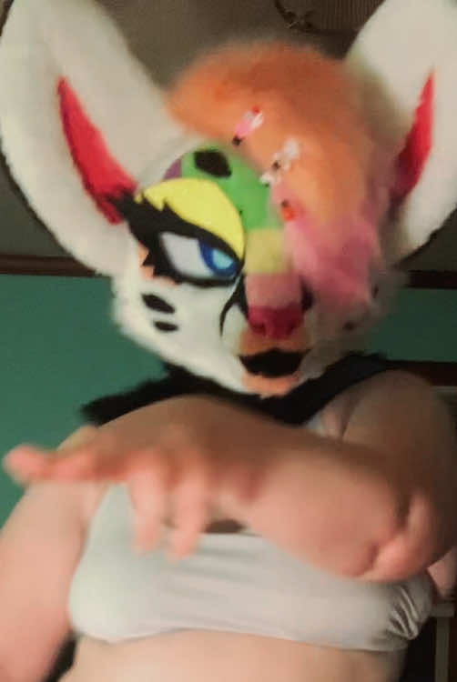 @Liger~Liger🐾🍉