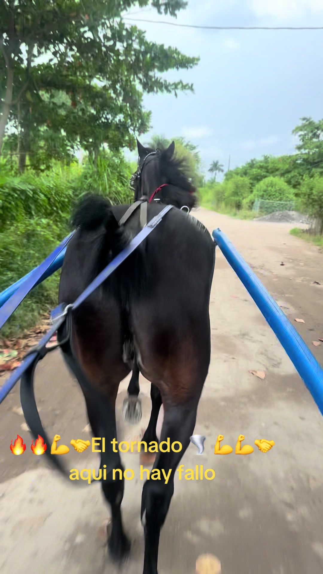 @🔥🔥❤️EL FEO ❤️🔥🔥