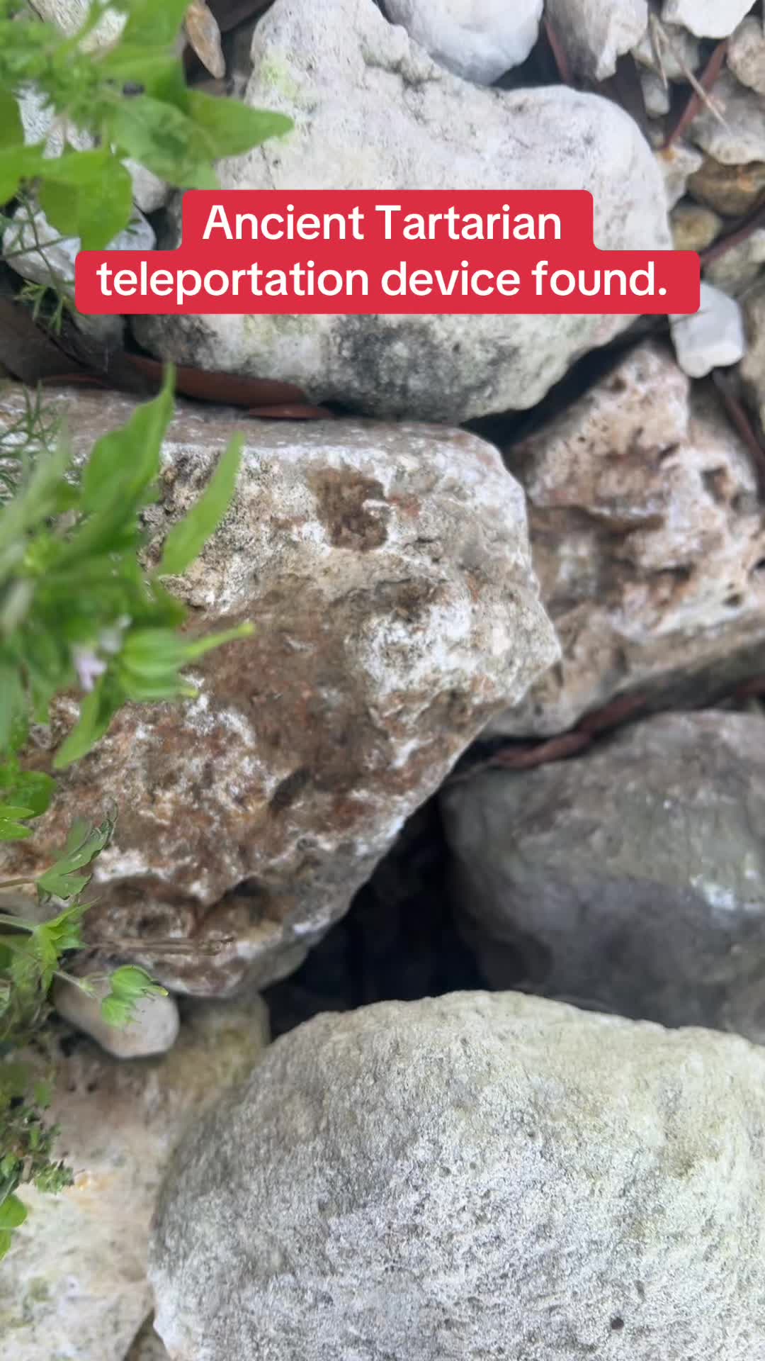 @l_u_c_e_r_o_117