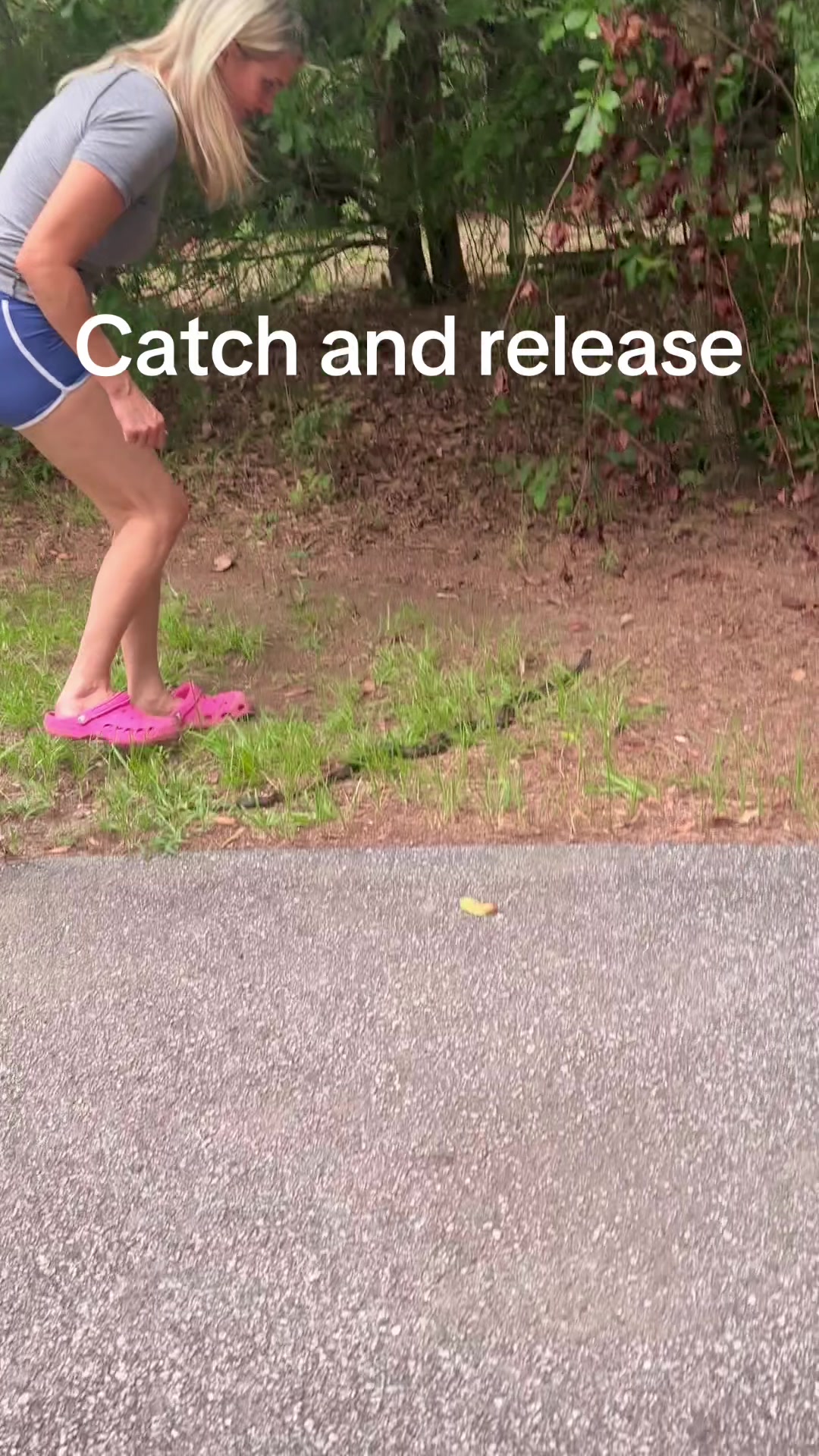 @eloiseshack