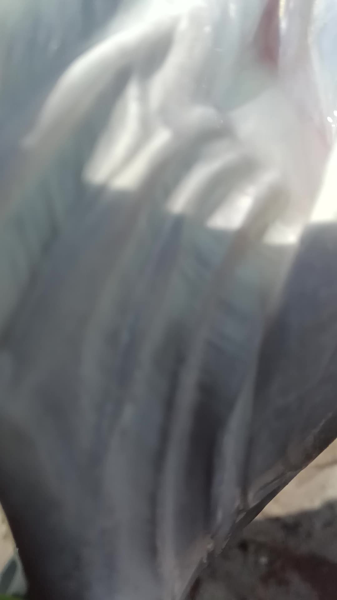 @danysebanks