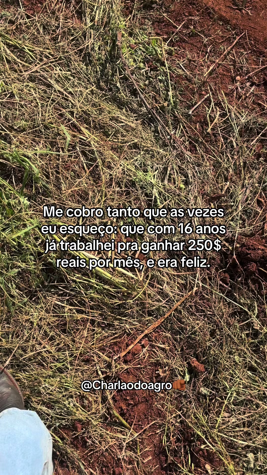 @CHARLAODOAGRO 🤠