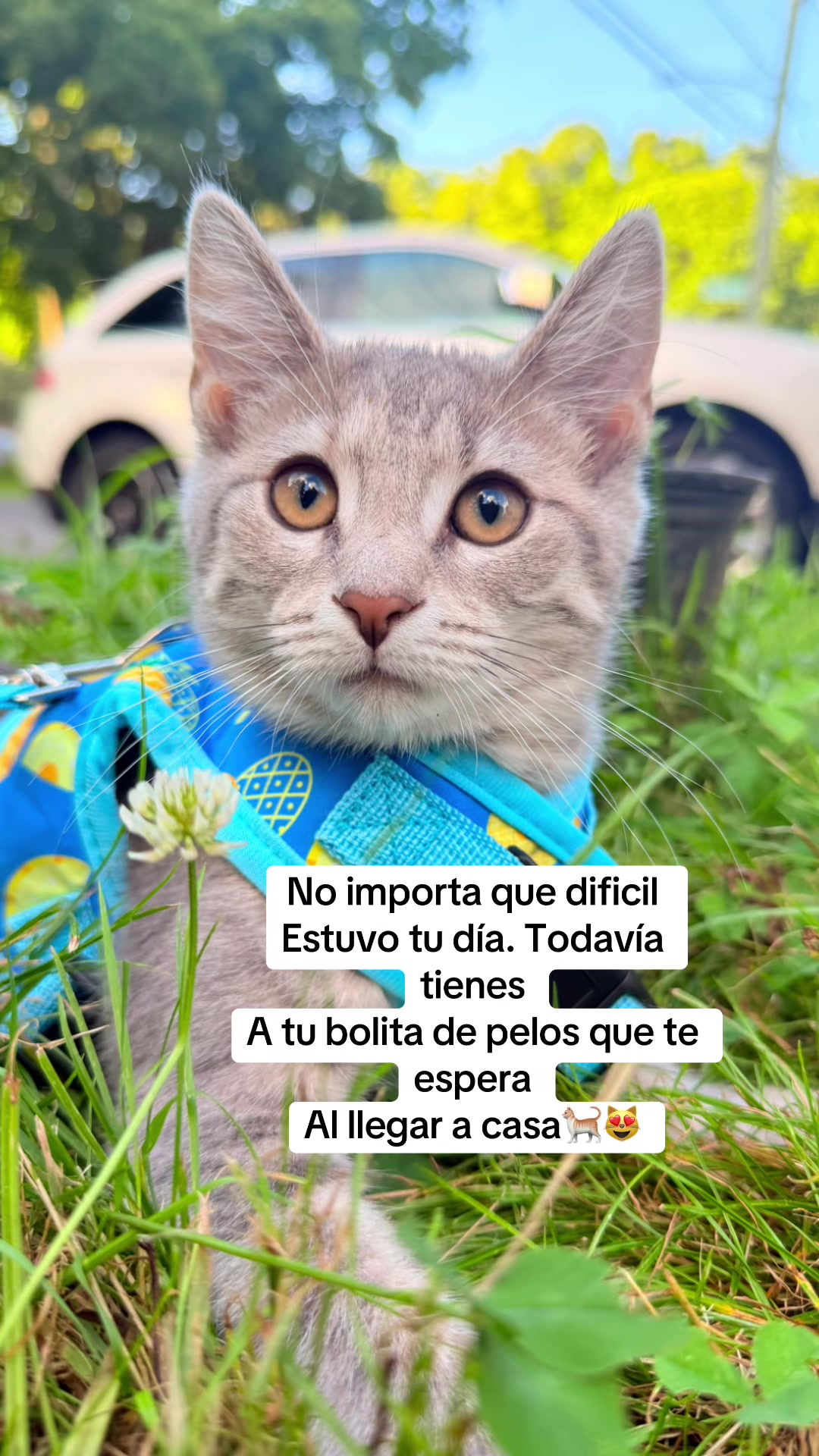 @🧲🛸🪓SINDY G PEREZ 🗝️🇭🇳