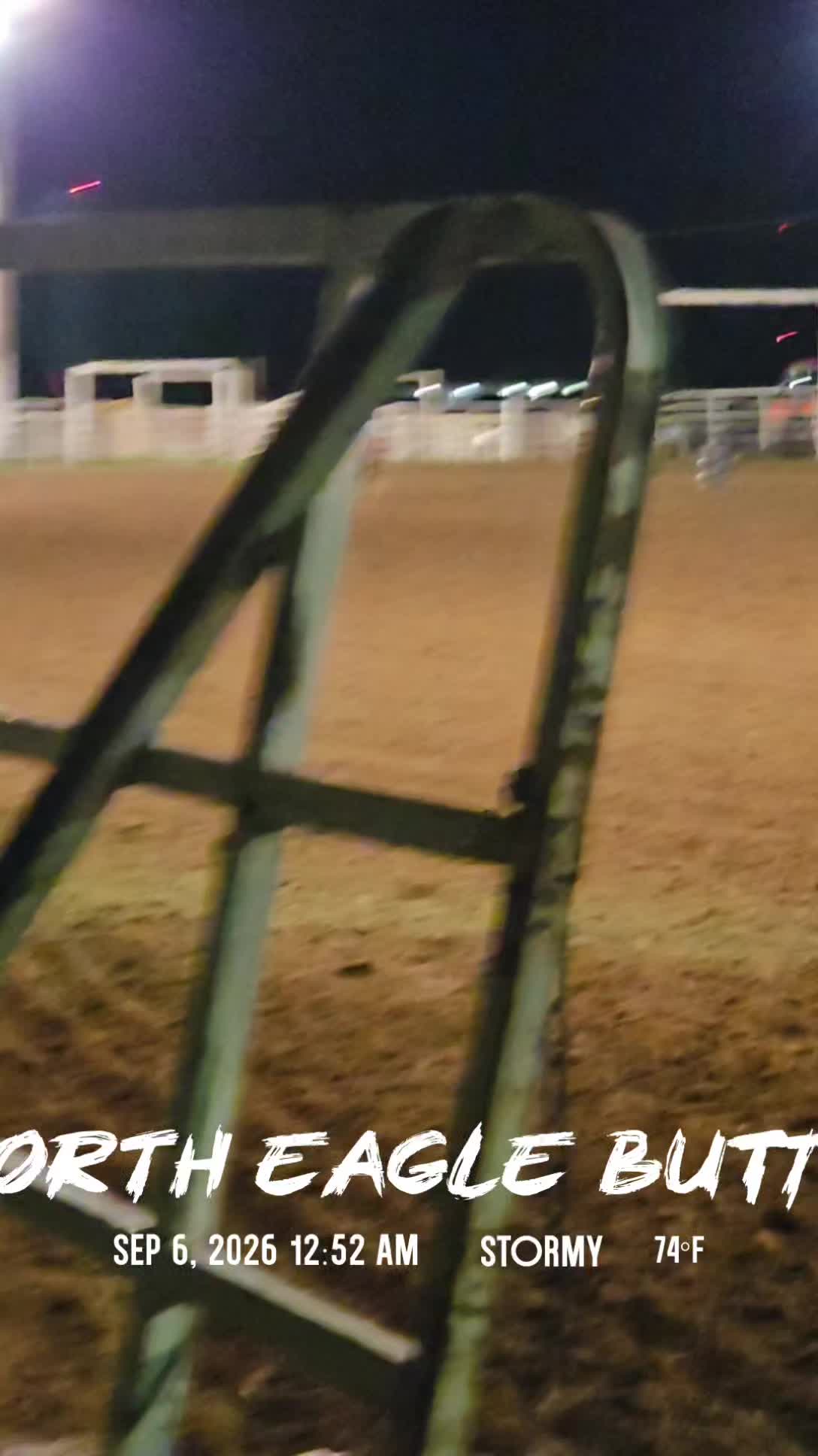 @scottdailyhorsetraining