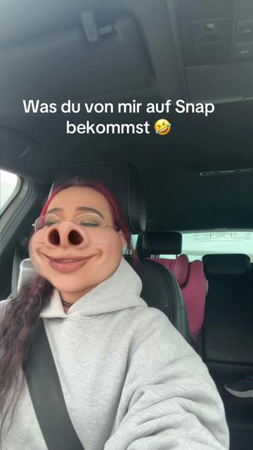 @little.pit.bull