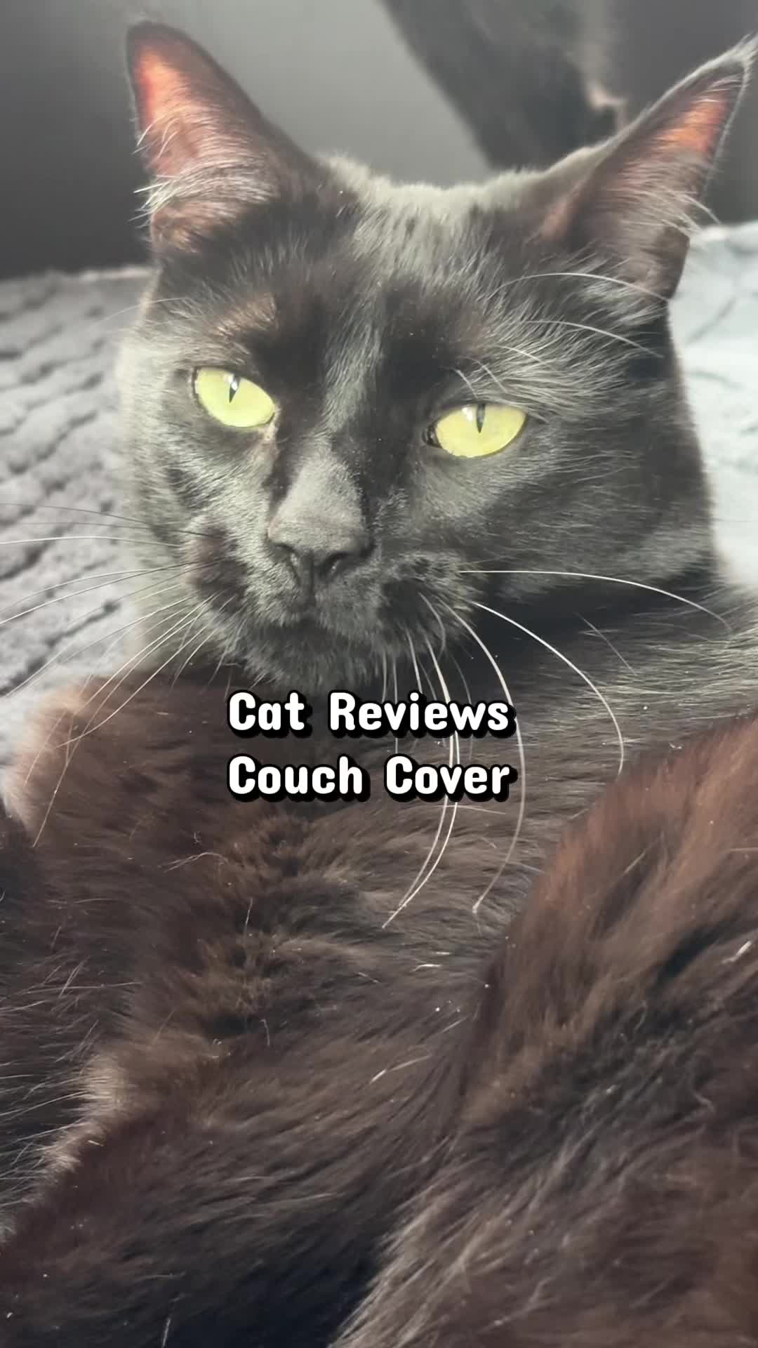 @Auntkaren0