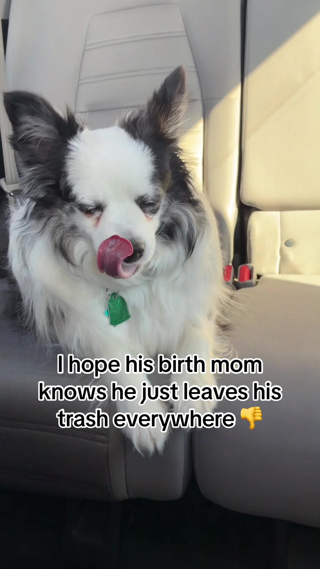 @Baileyana