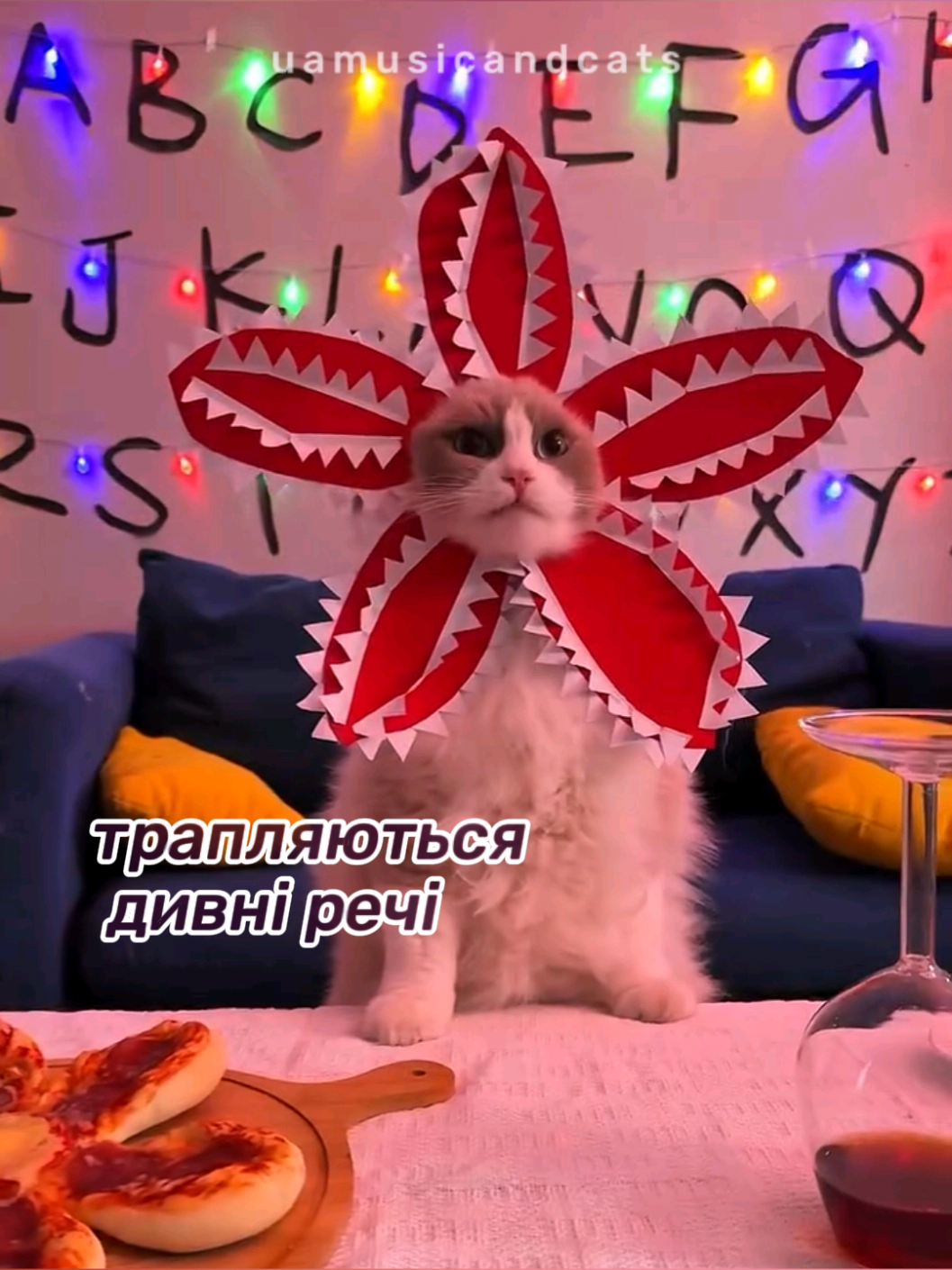 @🎧 музика і котики 🐱