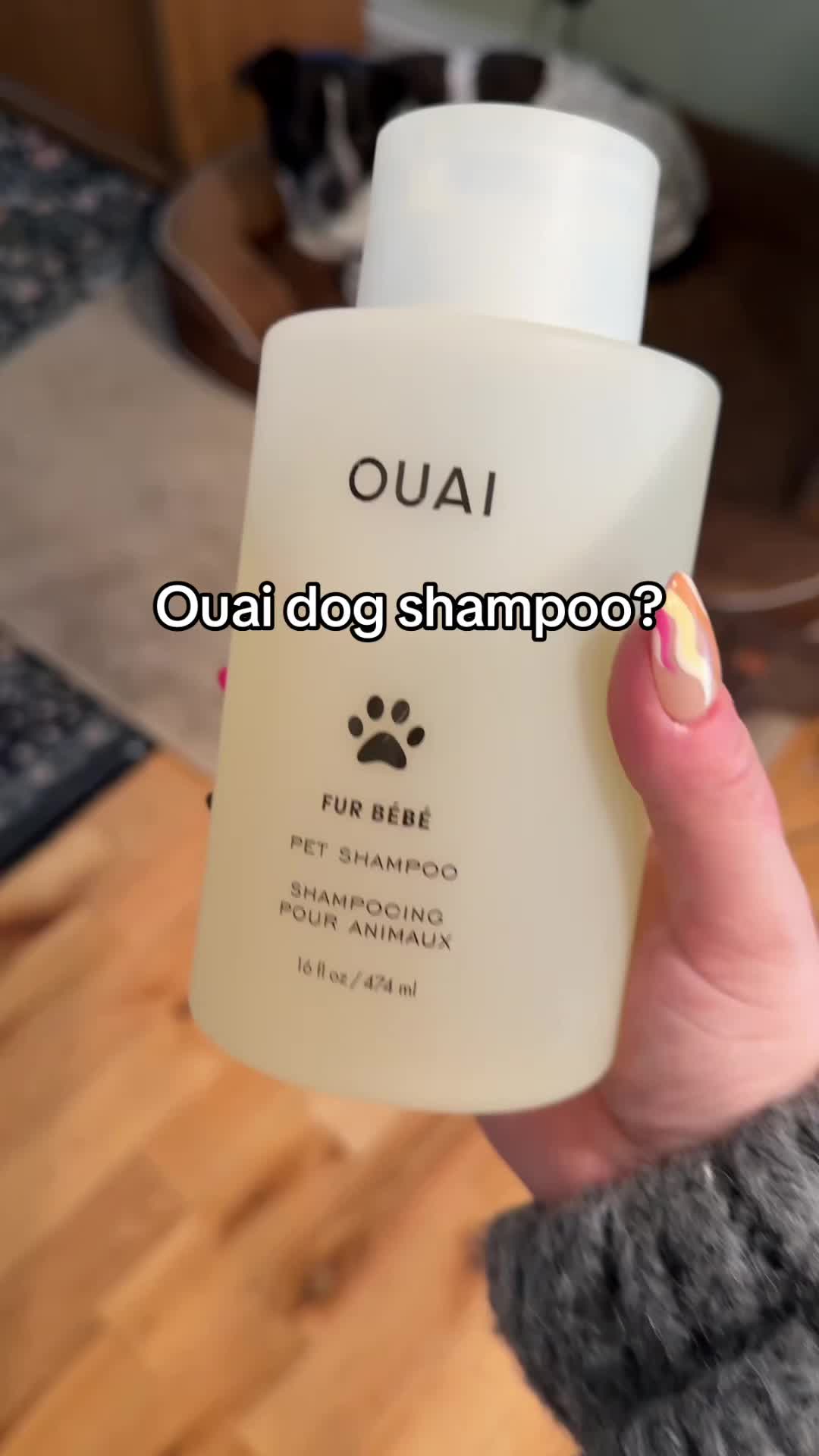 @Chelsea | Dog & Toddler Mom