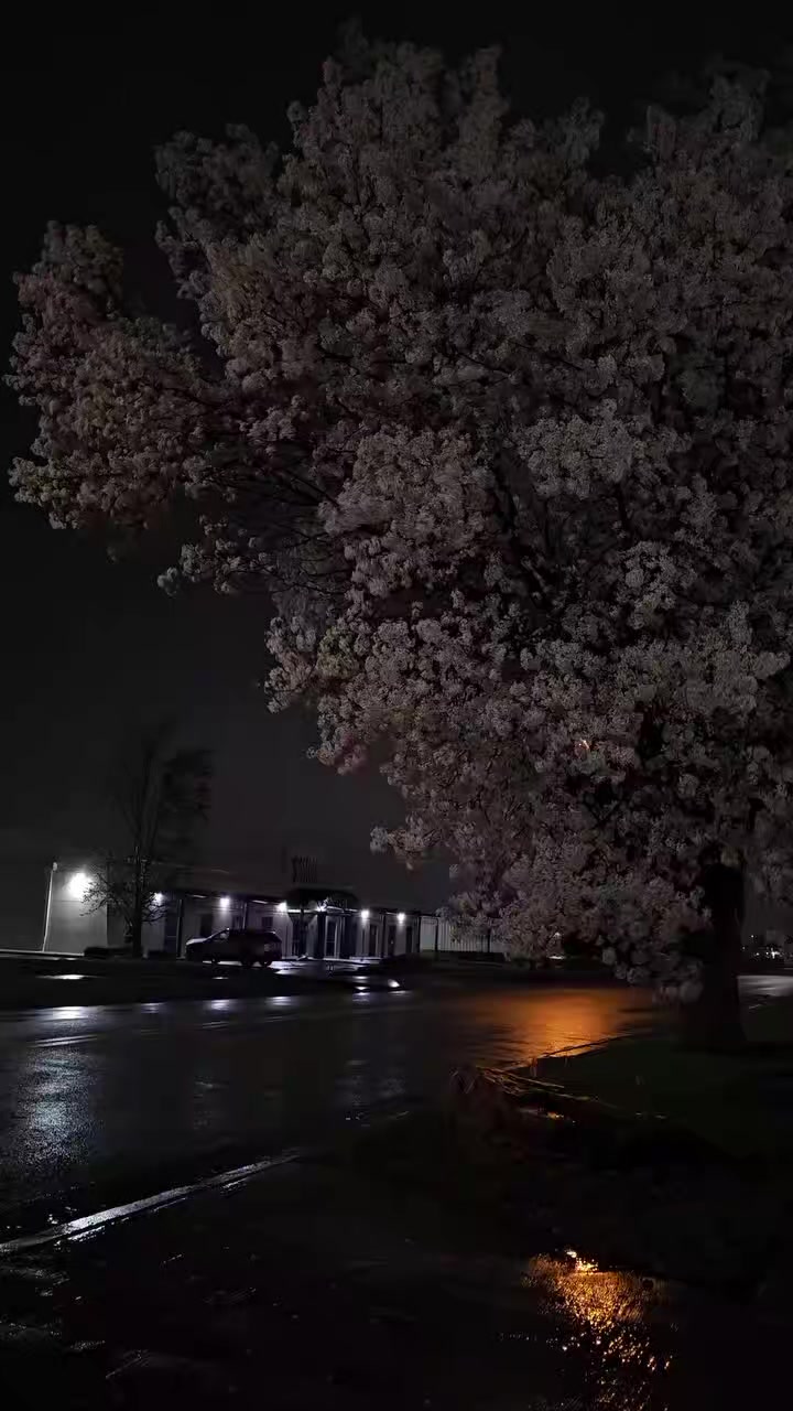 @*𓆩 خاک نشیں 𓆪*