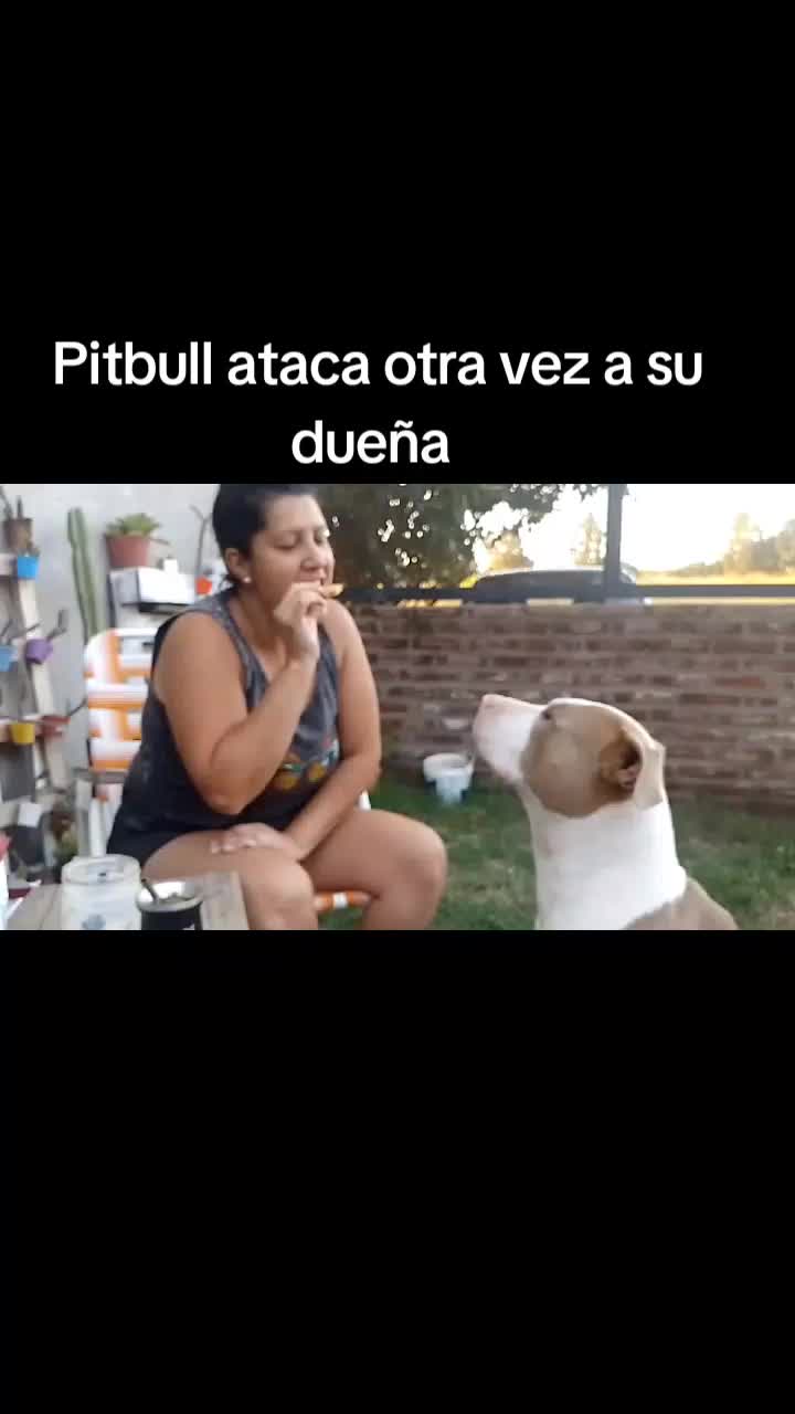 @Bibi 💙🇦🇷
