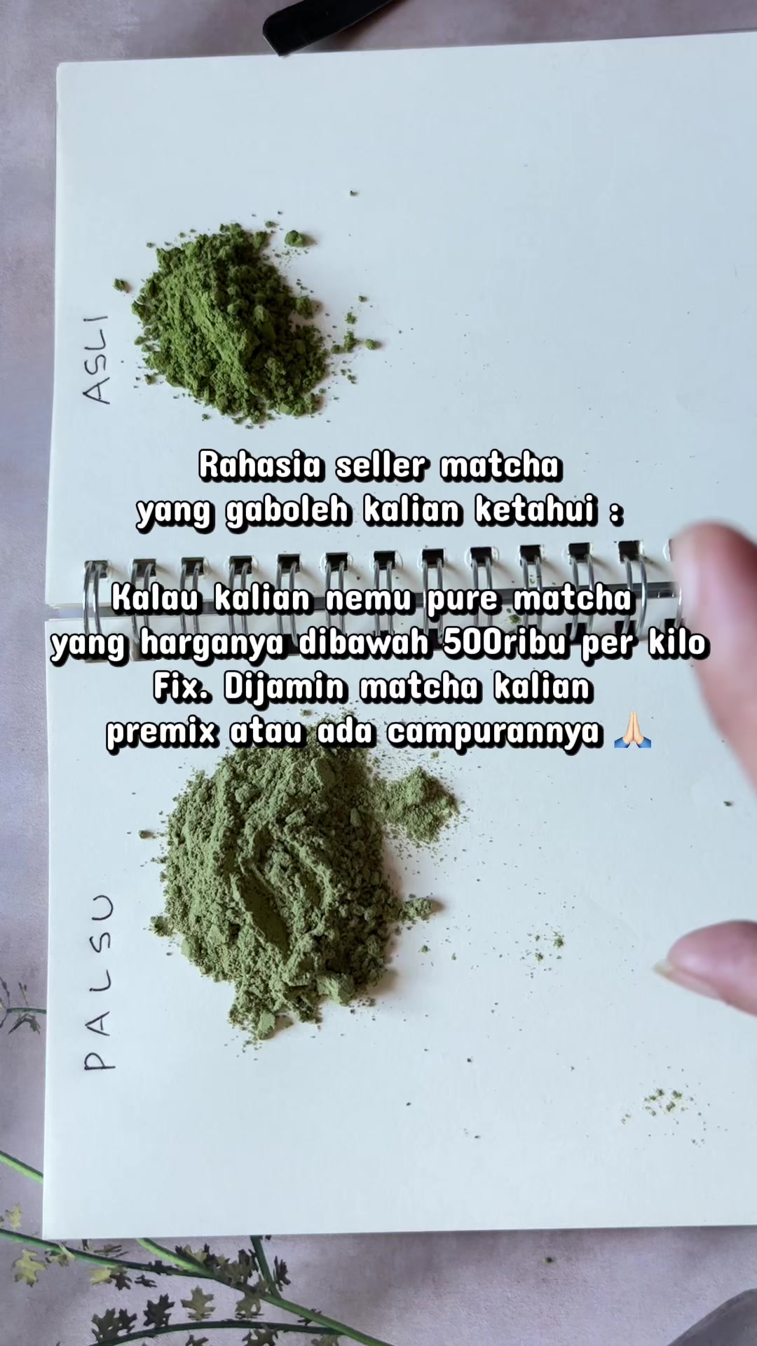 @MATCHASII SUPPLIER MATCHA