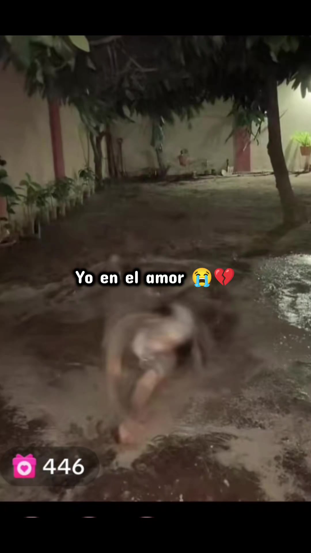@Valeross🧡🪻