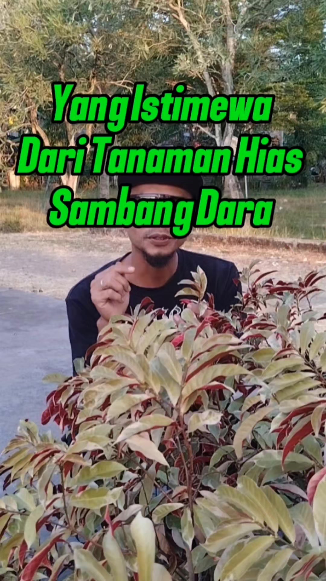 @Bukit Farming