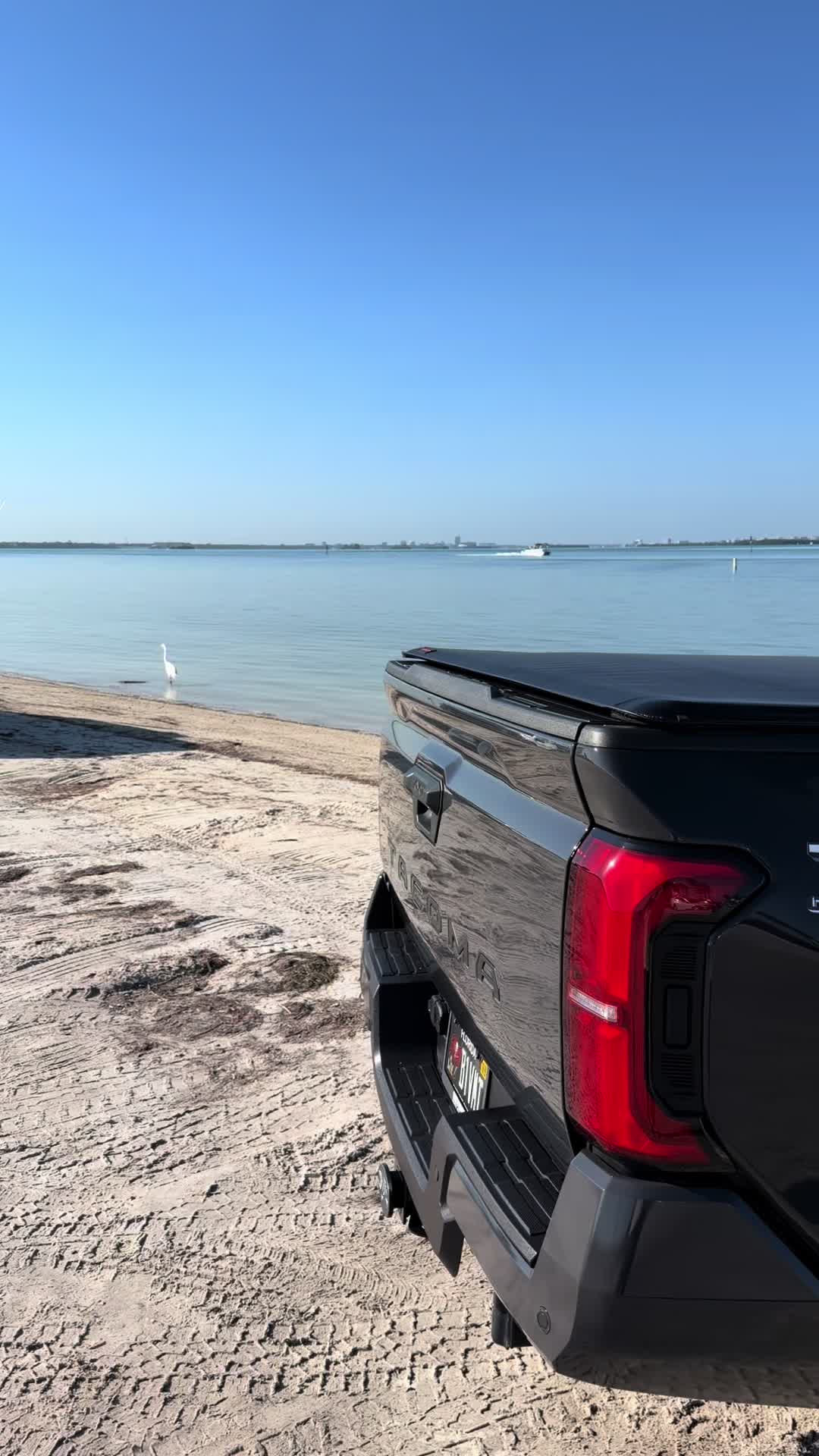 @SaltTaco
