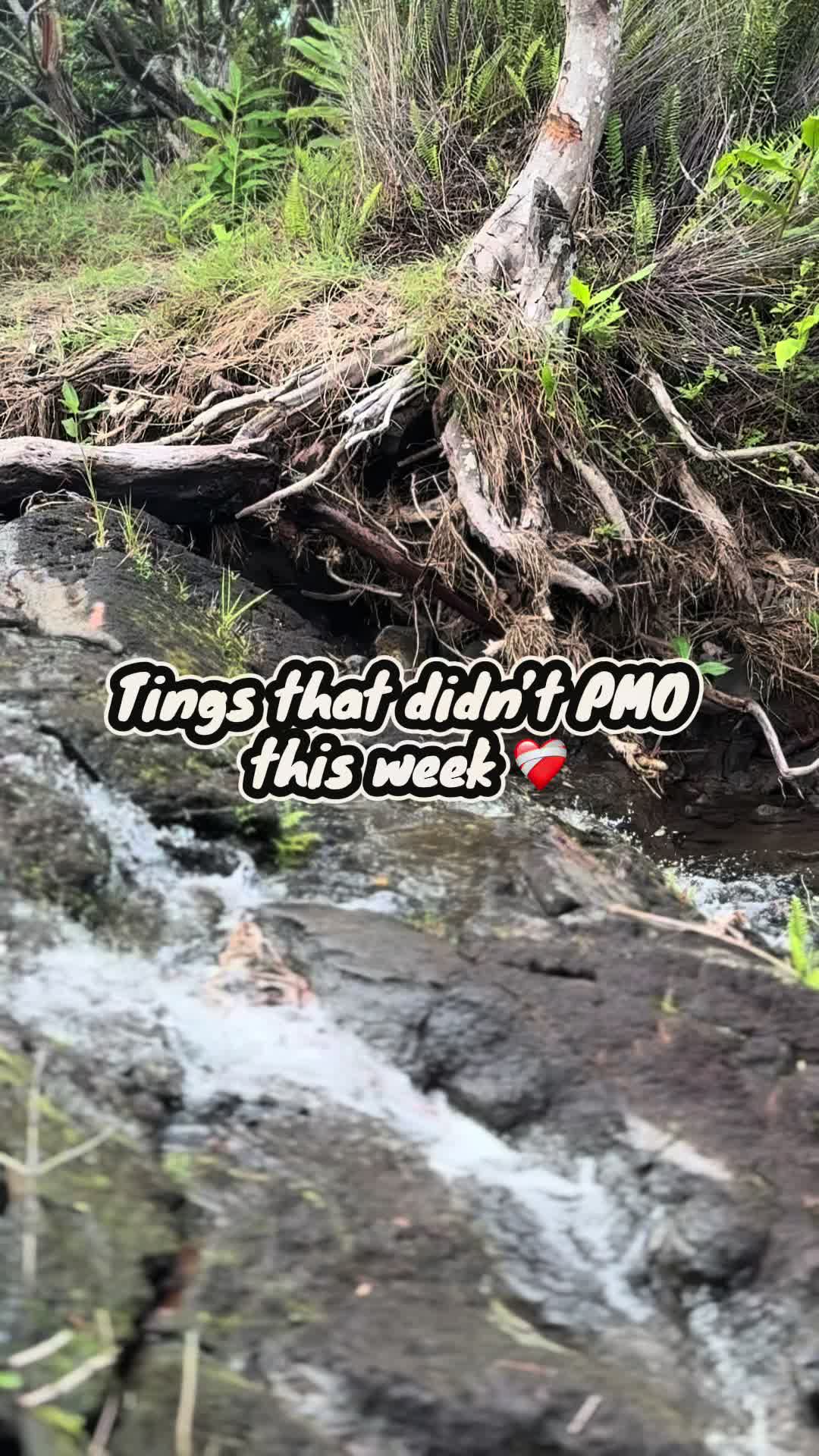 @MeetingMiks🦋