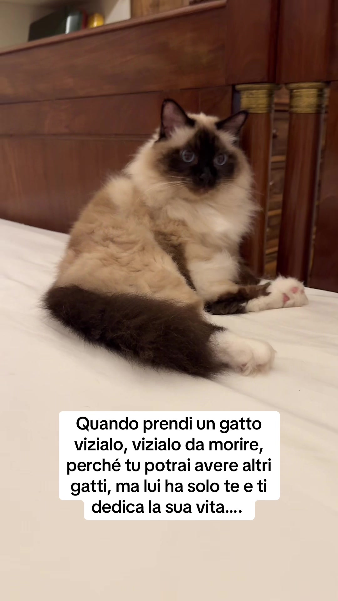@Cristina Tarantino