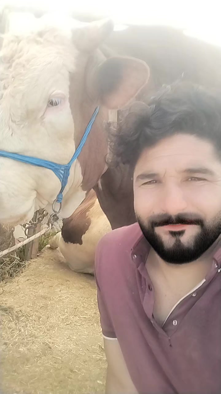 @Taşdemir besicilik