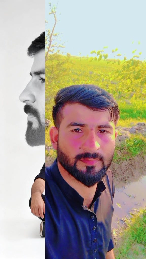 @ARAIN 🇵🇰🇵🇸