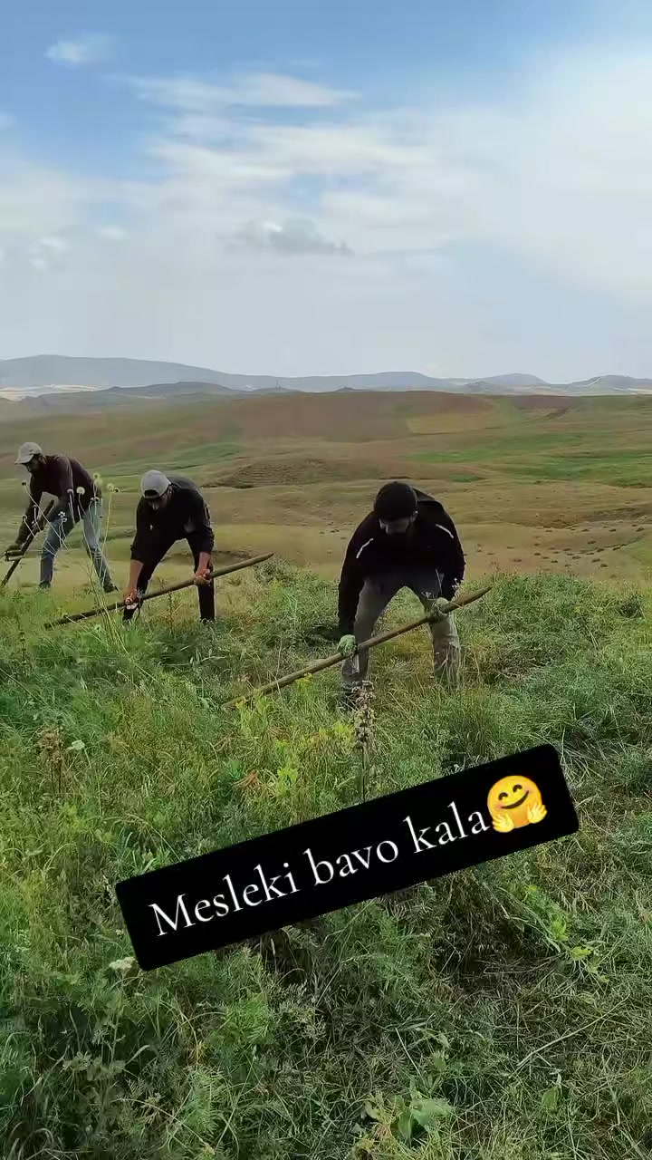@65๐
ด๐๐
ณ๐
ด๐
๐๐
ฐ๐
ฝ06