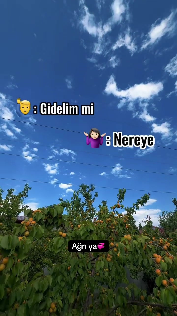 @maşa