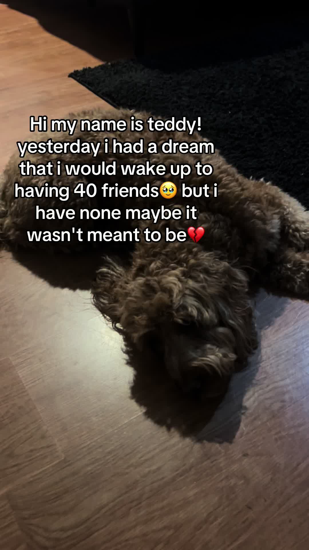 @Goldendoodlelover