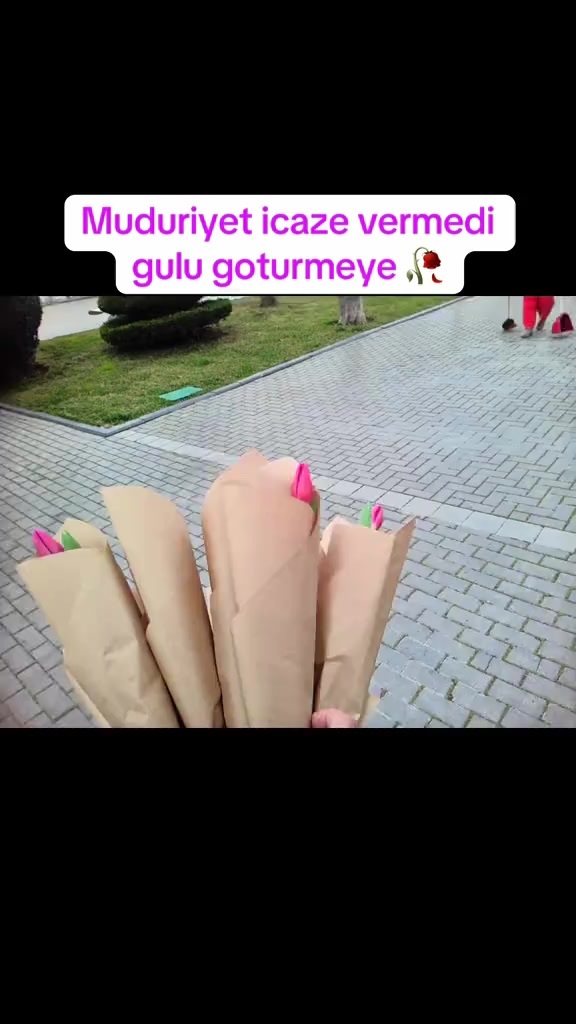 @Nicat Abbasov
