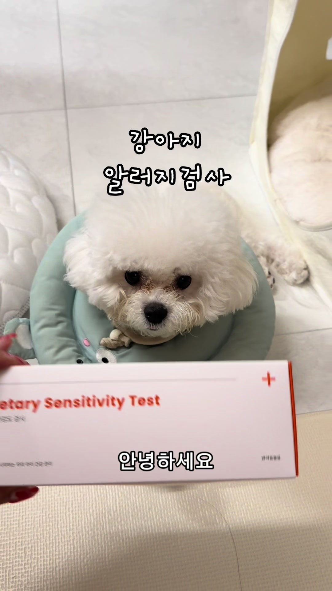 @jeju_kiki
