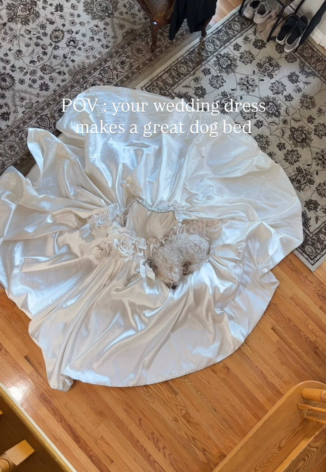 @Sarah Oshana