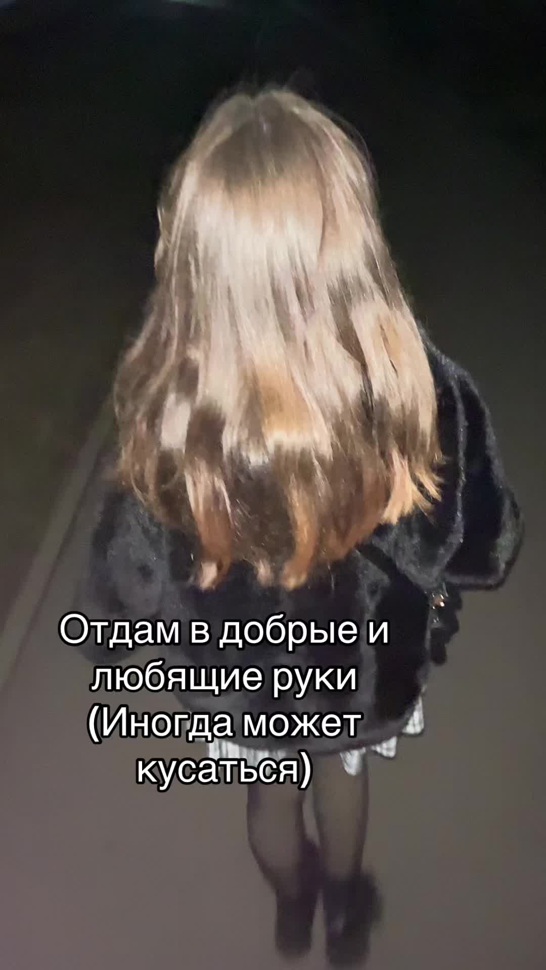 @werstyhavd