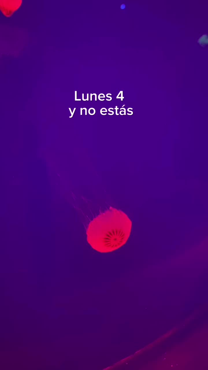 @Vli